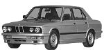 BMW E28 P204E Fault Code